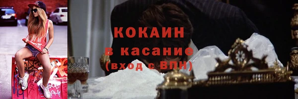 прущие грибы Алексеевка