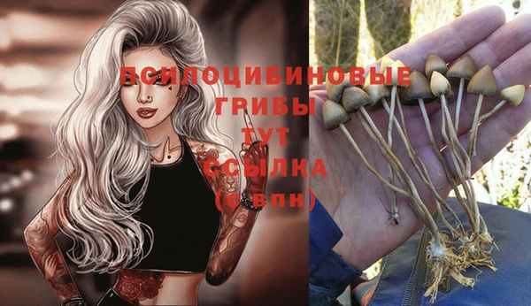 экстази Алзамай